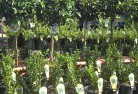 Ardrossanplant-nursery-14.jpg; ?>