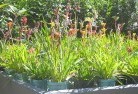 Ardrossanplant-nursery-17.jpg; ?>
