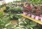 Ardrossanplant-nursery-7.jpg; ?>